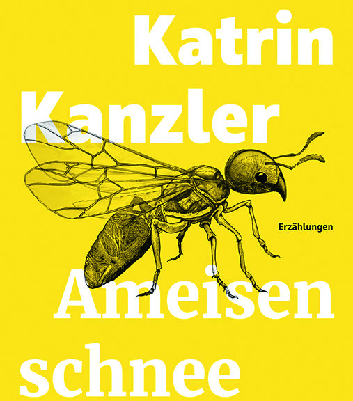 Buchcover "Ameisenschnee" von Fee Katrin Kanzler