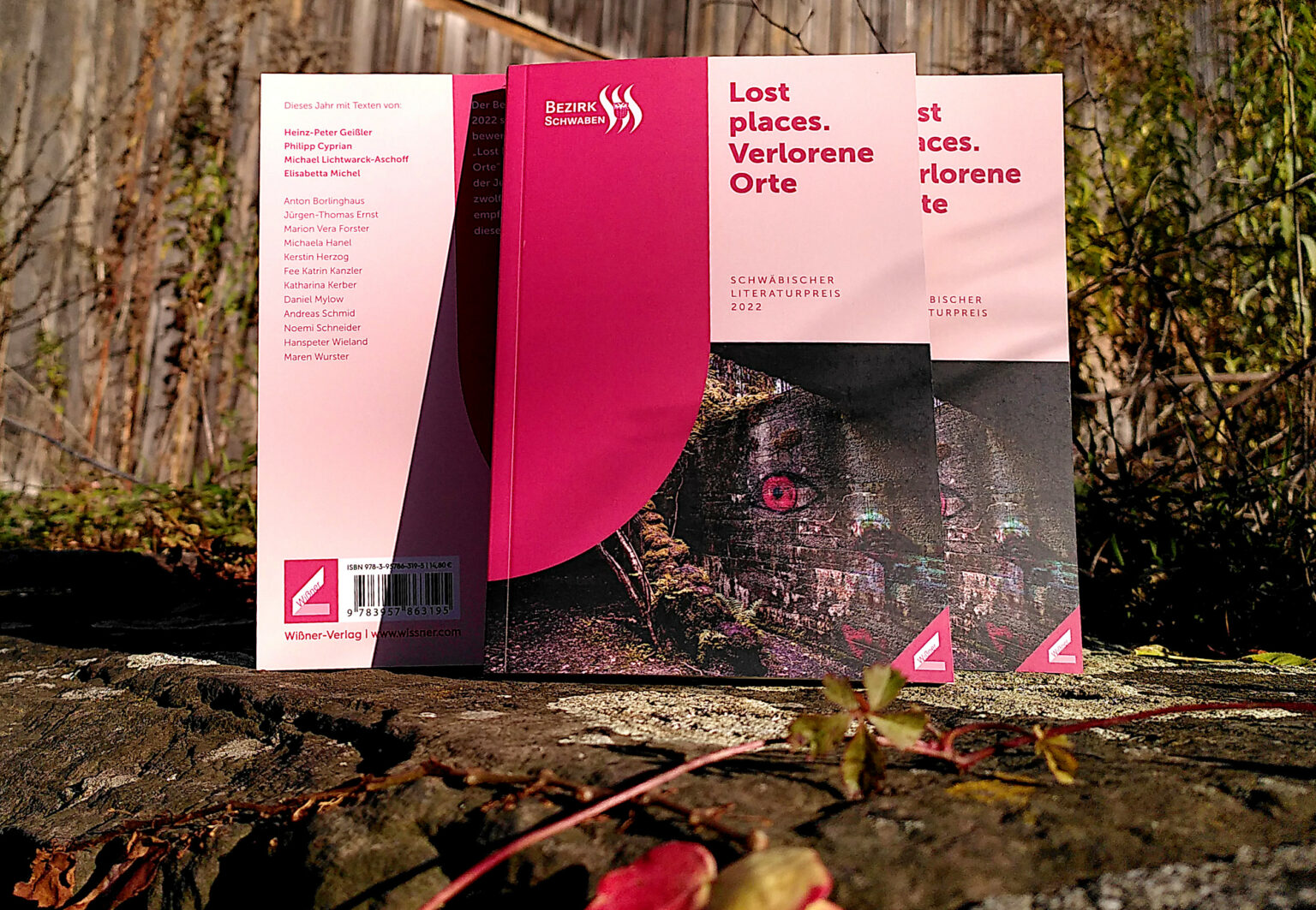 Schwäbischer Literaturpreis | Fairy Club